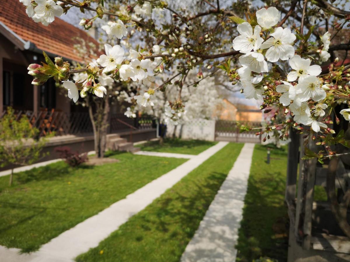 Apartament Turul -Kuca Za Odmor- Korod Zewnętrze zdjęcie
