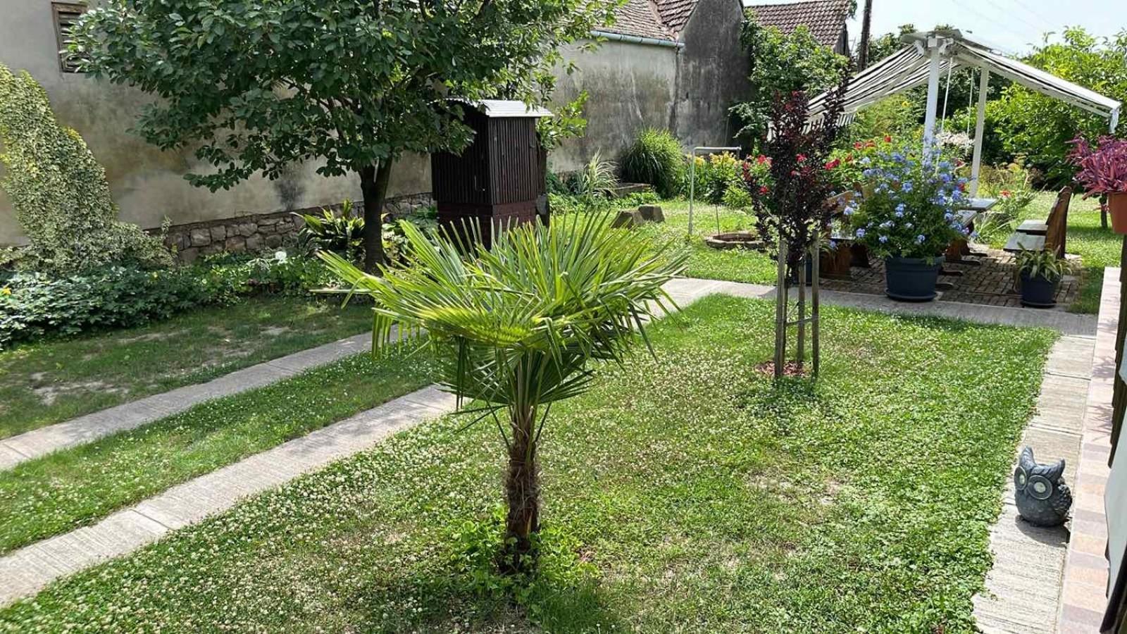 Apartament Turul -Kuca Za Odmor- Korod Zewnętrze zdjęcie